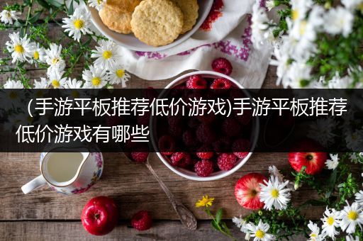 （手游平板推荐低价游戏)手游平板推荐低价游戏有哪些