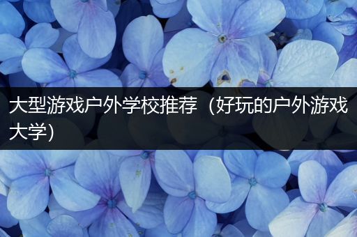 大型游戏户外学校推荐（好玩的户外游戏大学）