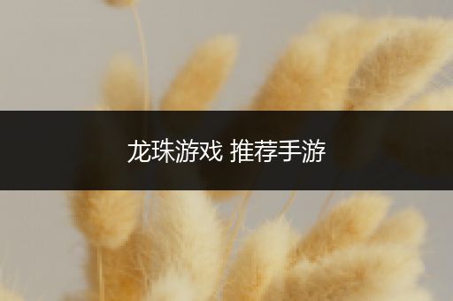 龙珠游戏 推荐手游