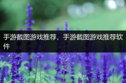 手游截图游戏推荐，手游截图游戏推荐软件