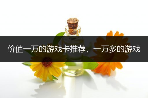 价值一万的游戏卡推荐，一万多的游戏