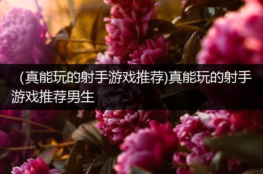 （真能玩的射手游戏推荐)真能玩的射手游戏推荐男生