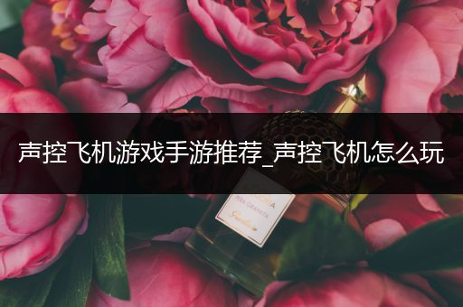 声控飞机游戏手游推荐_声控飞机怎么玩