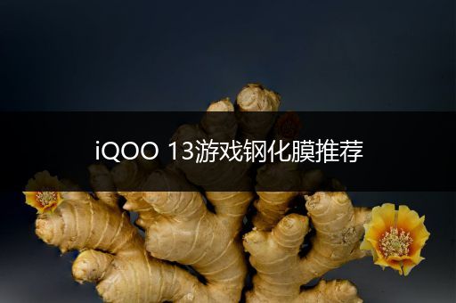 iQOO 13游戏钢化膜推荐