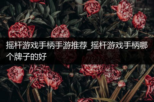 摇杆游戏手柄手游推荐_摇杆游戏手柄哪个牌子的好