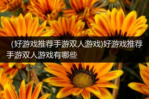 （好游戏推荐手游双人游戏)好游戏推荐手游双人游戏有哪些