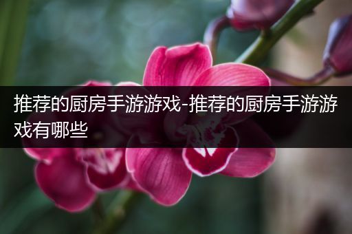 推荐的厨房手游游戏-推荐的厨房手游游戏有哪些