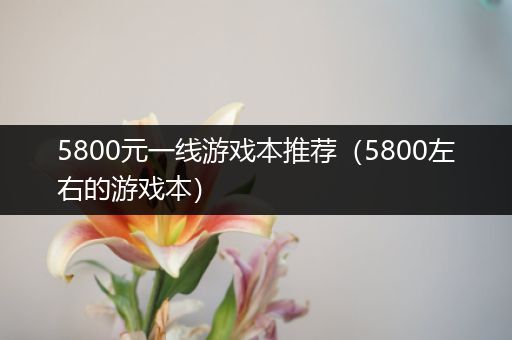 5800元一线游戏本推荐（5800左右的游戏本）