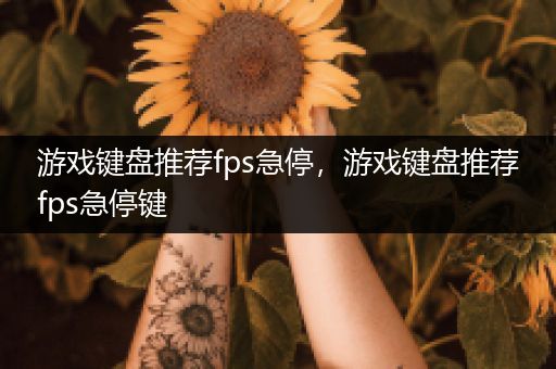 游戏键盘推荐fps急停，游戏键盘推荐fps急停键