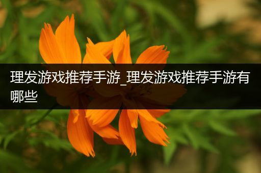 理发游戏推荐手游_理发游戏推荐手游有哪些