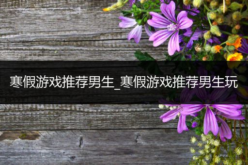 寒假游戏推荐男生_寒假游戏推荐男生玩