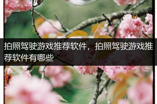 拍照驾驶游戏推荐软件，拍照驾驶游戏推荐软件有哪些
