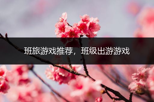 班旅游戏推荐，班级出游游戏