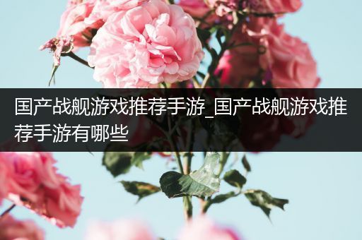 国产战舰游戏推荐手游_国产战舰游戏推荐手游有哪些