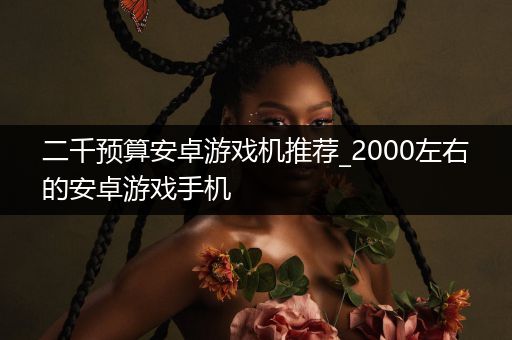二千预算安卓游戏机推荐_2000左右的安卓游戏手机