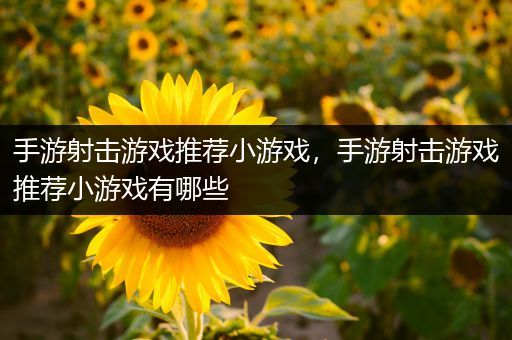 手游射击游戏推荐小游戏，手游射击游戏推荐小游戏有哪些