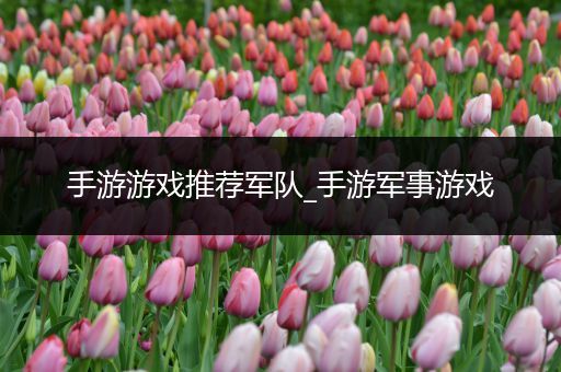 手游游戏推荐军队_手游军事游戏