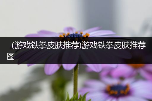 （游戏铁拳皮肤推荐)游戏铁拳皮肤推荐图