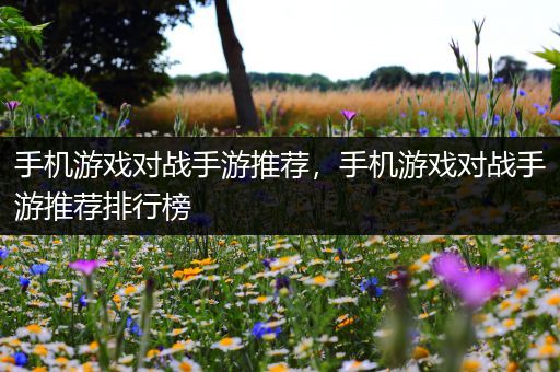 手机游戏对战手游推荐，手机游戏对战手游推荐排行榜