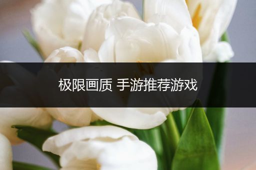极限画质 手游推荐游戏