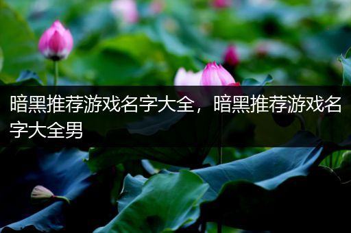暗黑推荐游戏名字大全，暗黑推荐游戏名字大全男