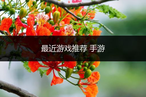 最近游戏推荐 手游