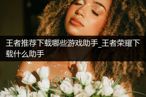 王者推荐下载哪些游戏助手_王者荣耀下载什么助手