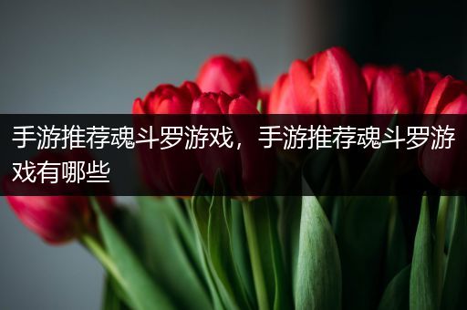 手游推荐魂斗罗游戏，手游推荐魂斗罗游戏有哪些