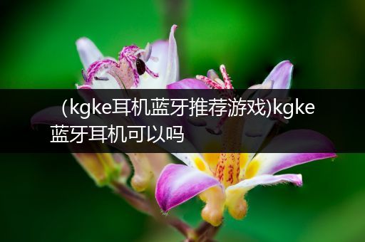 （kgke耳机蓝牙推荐游戏)kgke蓝牙耳机可以吗