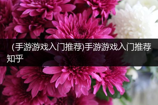 （手游游戏入门推荐)手游游戏入门推荐知乎