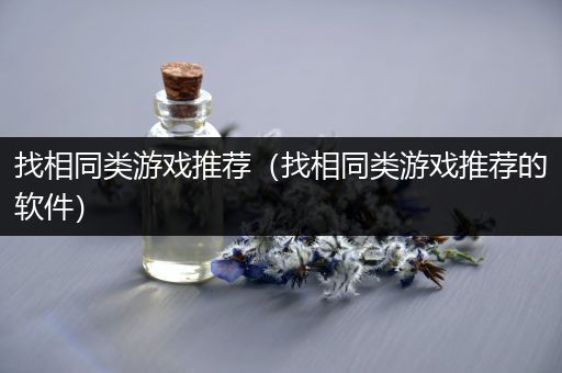 找相同类游戏推荐（找相同类游戏推荐的软件）