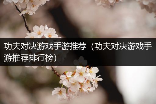 功夫对决游戏手游推荐（功夫对决游戏手游推荐排行榜）