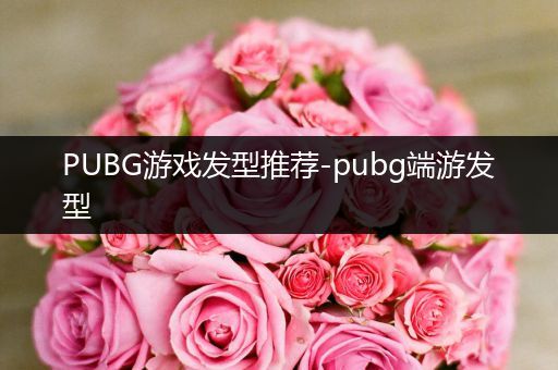 PUBG游戏发型推荐-pubg端游发型