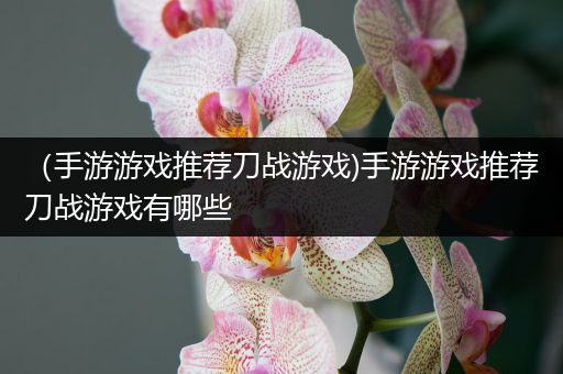 （手游游戏推荐刀战游戏)手游游戏推荐刀战游戏有哪些