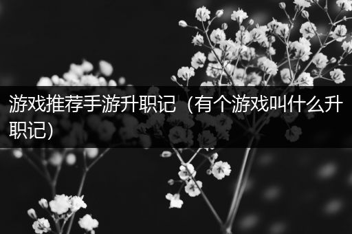 游戏推荐手游升职记（有个游戏叫什么升职记）