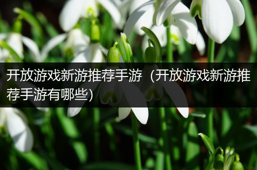 开放游戏新游推荐手游（开放游戏新游推荐手游有哪些）