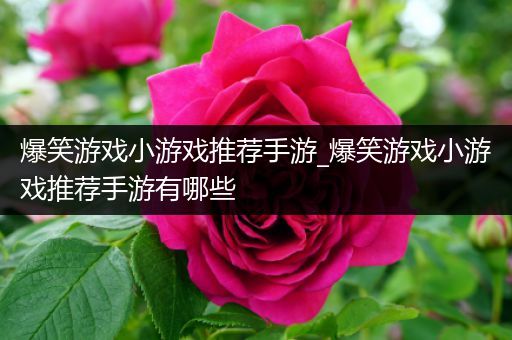 爆笑游戏小游戏推荐手游_爆笑游戏小游戏推荐手游有哪些