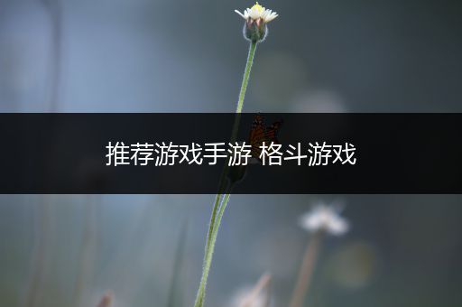 推荐游戏手游 格斗游戏