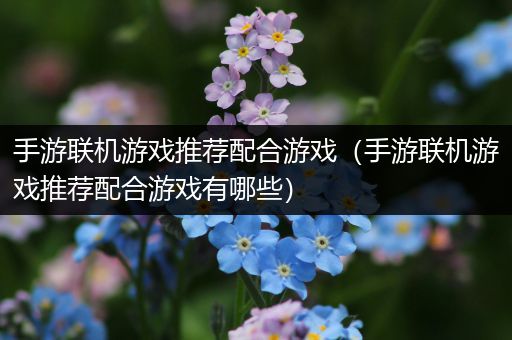 手游联机游戏推荐配合游戏（手游联机游戏推荐配合游戏有哪些）