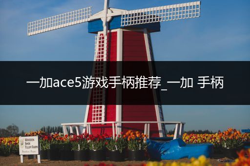 一加ace5游戏手柄推荐_一加 手柄