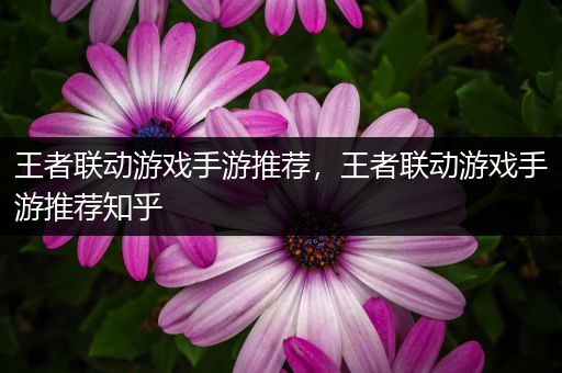 王者联动游戏手游推荐，王者联动游戏手游推荐知乎
