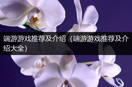 端游游戏推荐及介绍（端游游戏推荐及介绍大全）