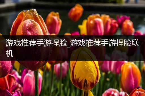 游戏推荐手游捏脸_游戏推荐手游捏脸联机