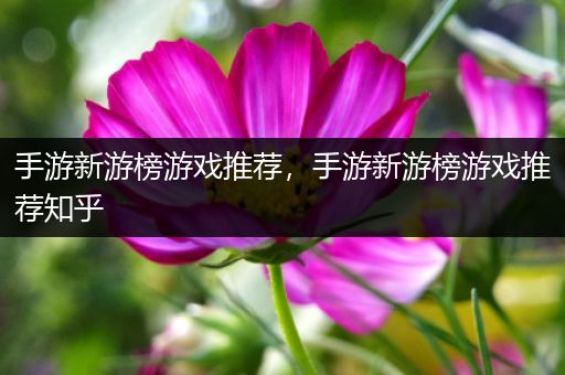 手游新游榜游戏推荐，手游新游榜游戏推荐知乎
