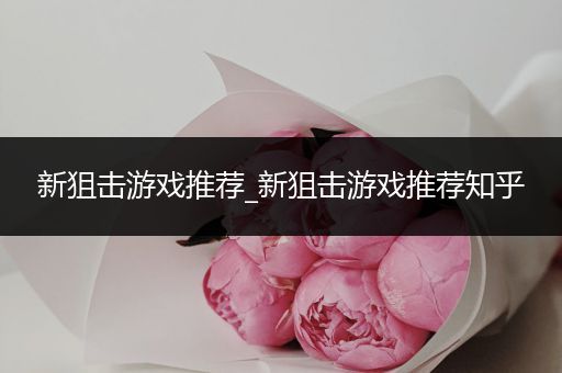 新狙击游戏推荐_新狙击游戏推荐知乎