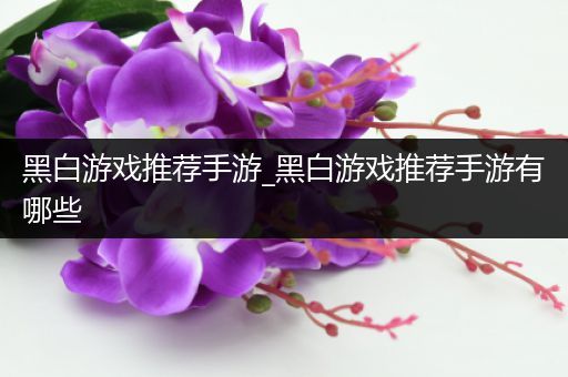 黑白游戏推荐手游_黑白游戏推荐手游有哪些