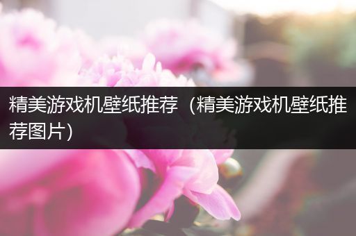 精美游戏机壁纸推荐（精美游戏机壁纸推荐图片）