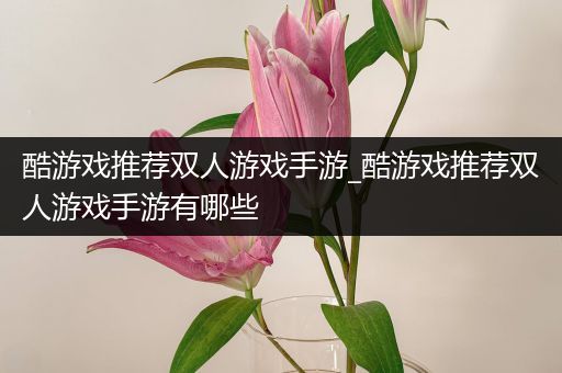 酷游戏推荐双人游戏手游_酷游戏推荐双人游戏手游有哪些