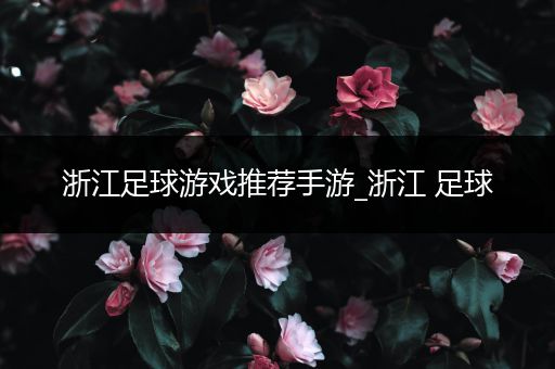 浙江足球游戏推荐手游_浙江 足球
