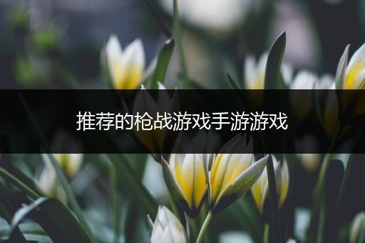推荐的枪战游戏手游游戏
